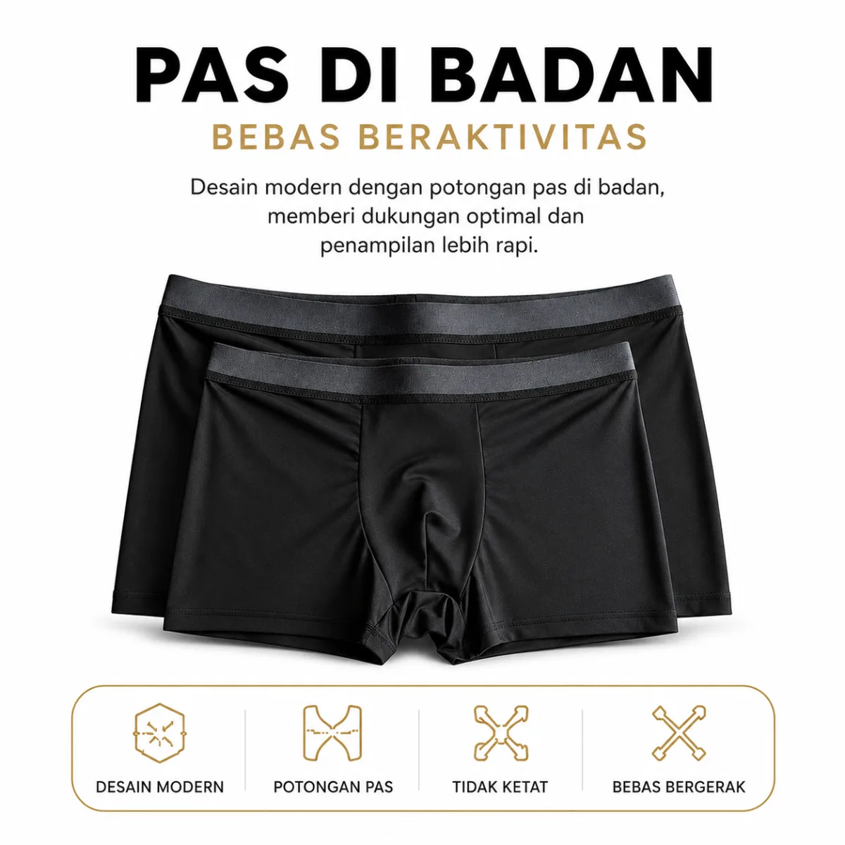 all day Boxer