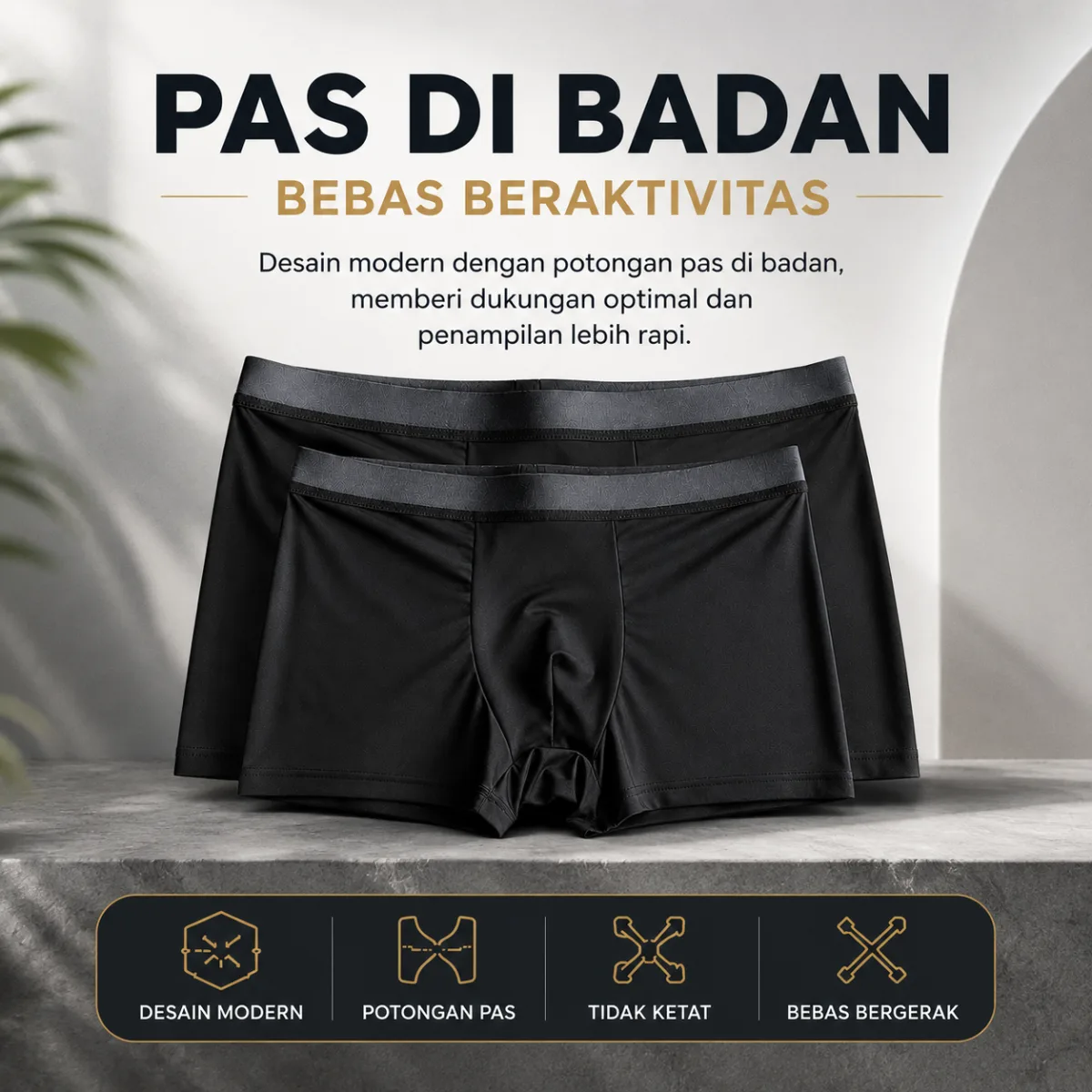 all day Boxer